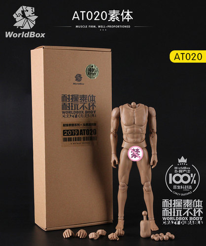 (19) WorldBox AT020 1/6 Scale Male Body Universal Version