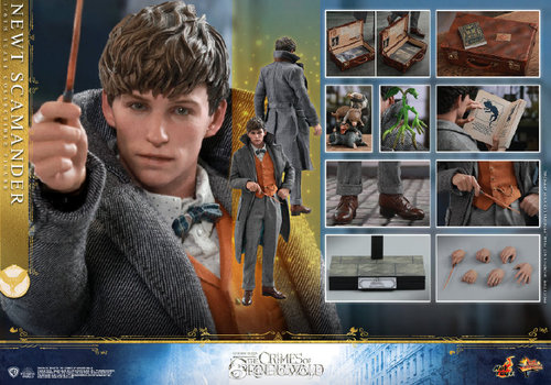 Hot Toys 1/6 MMS512 Newt Scamander Action Figure