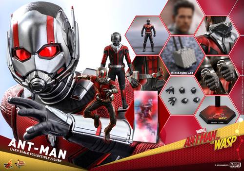 Hot Toys mms497 1/6 Ant-Man and the Wasp